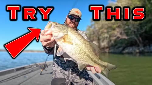 These Baits Catch Fish When The Bite Is Terrible! ( Winter Bass Fishing )