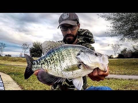 I CAUGHT the BIGGEST CRAPPIE I’ve ever SEEN!