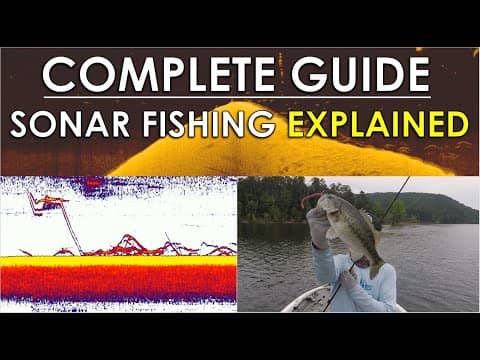Complete Guide To Video Game Fishing | Sonar, Tackle, and Areas Explained