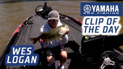 Yamaha Clip of the Day: Logan's Neely game changer to take the lead