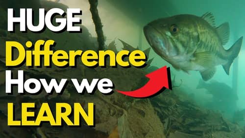 Most Bass Anglers Do the Opposite of This | Bass Fishing Tips for New Lures