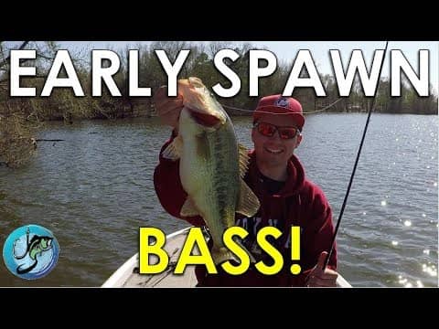 The Key To Finding Spawning Bass | Bass Fishing Strategies