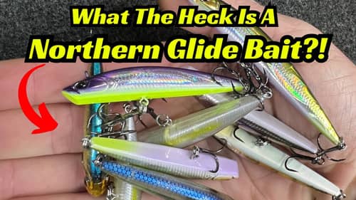 What The Heck Is A Northern Glide Bait?!??