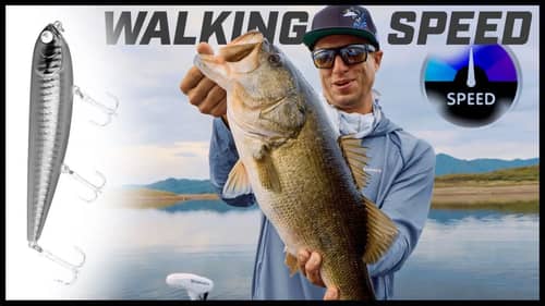 Topwater Walking Baits | How Speed Triggers Bass