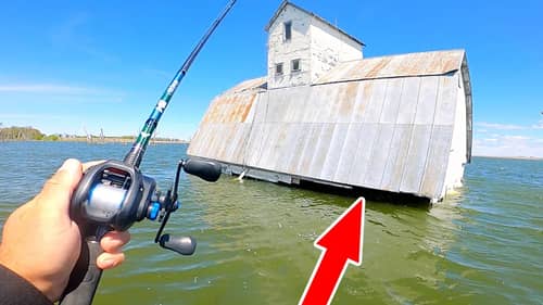 Catching My BIGGEST FISH from Under the FLOODED Barn!! (Surprising)