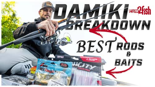 BEST Damiki Rigging Tackle and Rod Setups