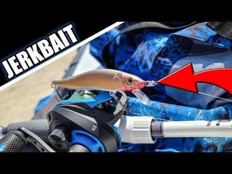 Jerkbait Fishing from the Bank & Combo Breakdown (I CURSED US!)