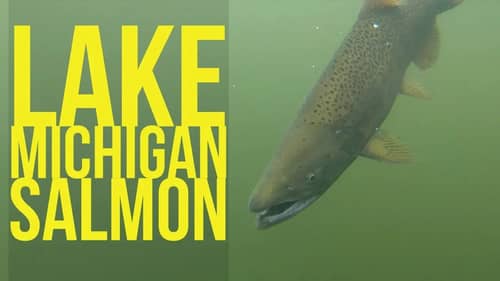 Salmon Fishing Lake Michigan with Eric Haataja Part 2