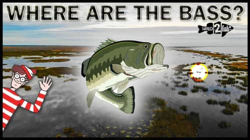 Find Bass Spawning Flats Without Fish Finders | Florida and Beyond