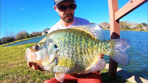 Search Catching%20crappie Fishing Videos on