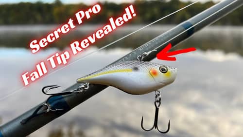 Pro’s Are Trying To Keep Secret This Fall Tip! I’m Spilling The Beans!