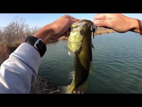 Winter is almost over! (Late Winter Bass Fishing and Surprise Species Caught!)