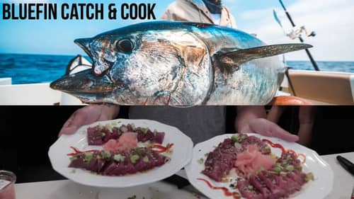 Catch and Cook Bluefin Tuna, Lobster, Clams and Dungeness Crab