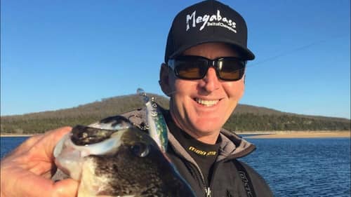 The 3 Megabass Lures Every Bass Angler Should Have…(You’ll Never Guess)