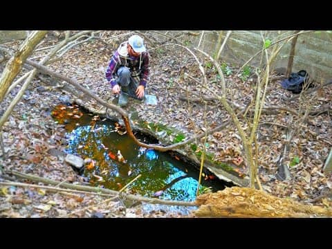 Fishing in a PUDDLE?!