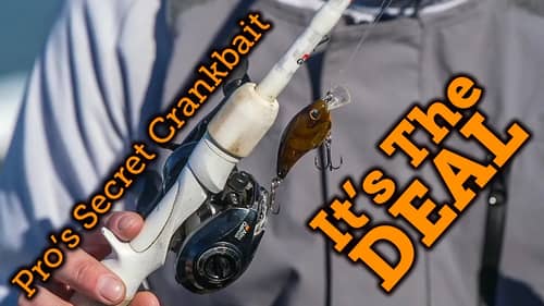Frittside Crankbait Bass Fishing Tips