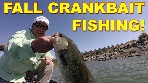 Fall Crankbait Fishing for Monster Bass! | Bass Fishing