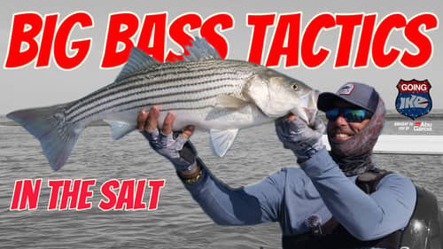 Big Bass Tactics! (Saltwater Stripers!)
