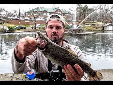 INSANE Day of TROUT FISHING  ||Local TWRA Stocked Pond||
