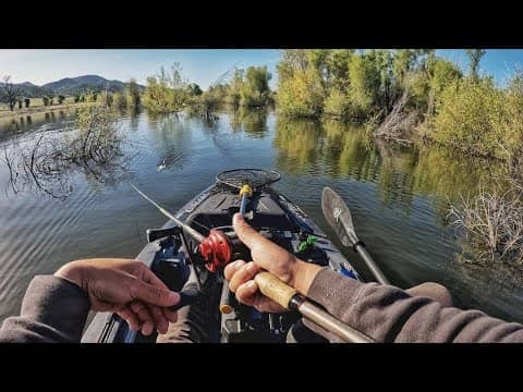 Fishing a California Flooded Forest (not quite what I expected)