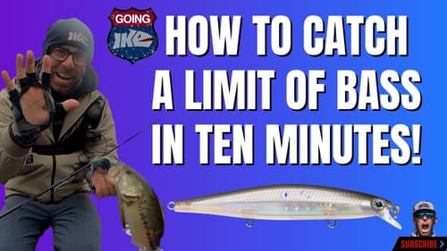 How to CATCH a LIMIT of BASS in TEN MINUTES!