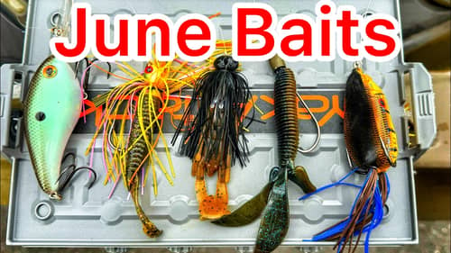 5 Baits for Bass Fishing in June