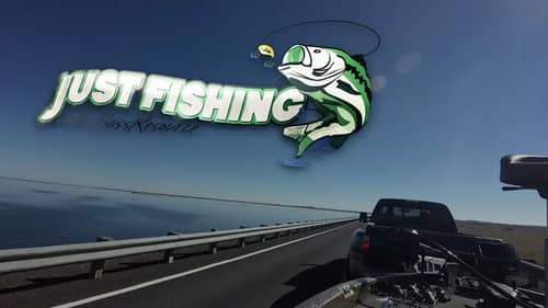Just Fishing w/BassResource | Bass Fishing