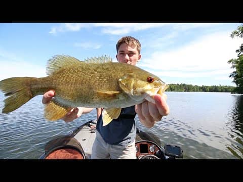 Smallmouth Bass Love Pink Worms-- Wisconsin VLOG No. 3
