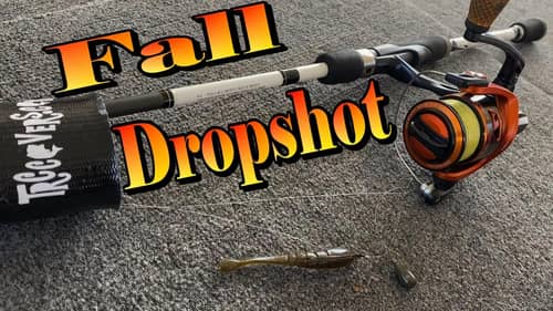 Fall Drop Shot Fishing