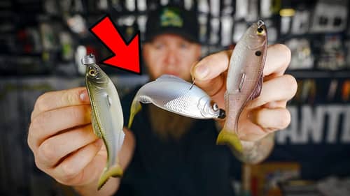 BAIT DROP! Unveiling & Rigging the NEW Panorama from 6th Sense Fishing