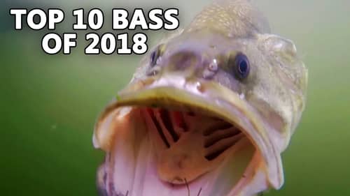 Top 10 Bass Of 2018 - Cast To Catch