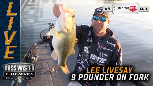 Lee Livesay catches a 9 pounder on Championship day at Fork!