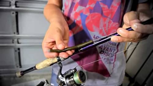 Rod, Reel, and Bait Arsenal for Bass Fishing Offshore