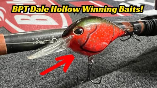 Will These Be the Winning Baits At the BPT Dale Hollow event?