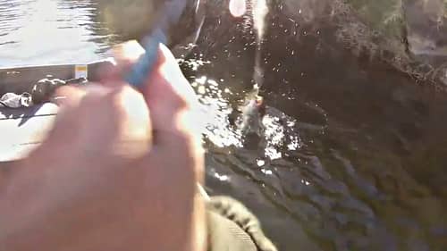 Fisherman Snaps Off $200 Lure On A Big Bass?!