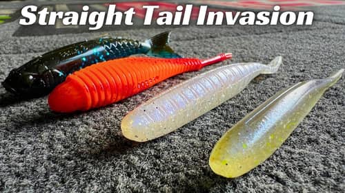 Invasion Of The Straight Tails!