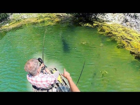 Fishing CRYSTAL CLEAR water for POND MONSTERS!