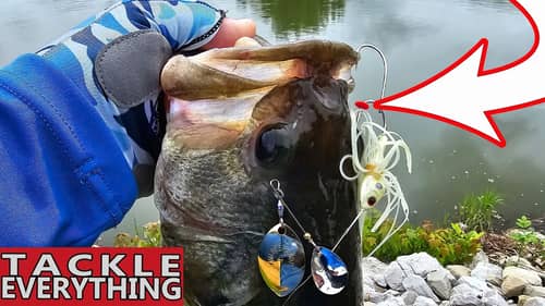 Use THESE 2 BAITS to Conquer NEW WATER