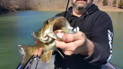Why Swimbait Heads Make a Difference