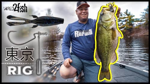 Find and Catch Spring Bass | Tokyo Rig Tips for Tough Bites