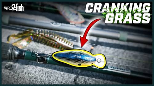 5 Tips to Crankbait Fish Grass More Effectively
