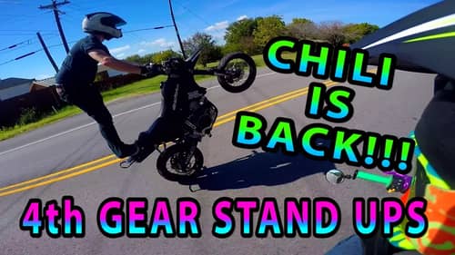 A REAL RIDER SHOWS UP | CHILI RETURNS | SUMO THINGS