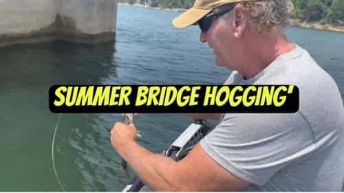 Bridge Pilings…(Live Action/Spotted Bass/Vertical Fishing)