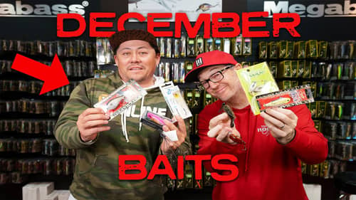Our TOP 5 Best Baits For December Bass Fishing!!
