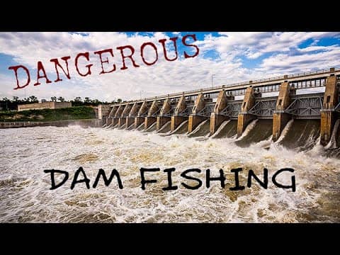How to Catch Fish Below the Dam