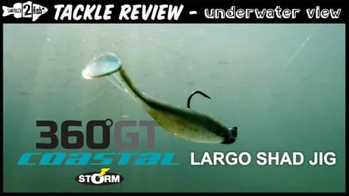 Storm 360GT Largo Shad Jig | Underwater View