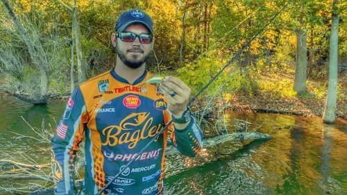 Get Snagged Lures Back By Using Your Rod (IF YOU DARE)