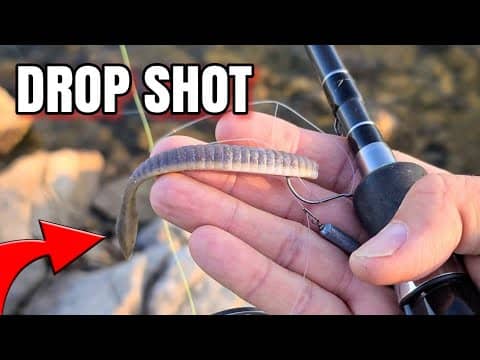 Drop Shotting a Flat Worm (SHALLOW Bank Fishing)