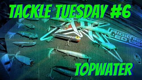 Tackle Tuesday #6 ~ Topwater ( Bass Fishing Topwater )