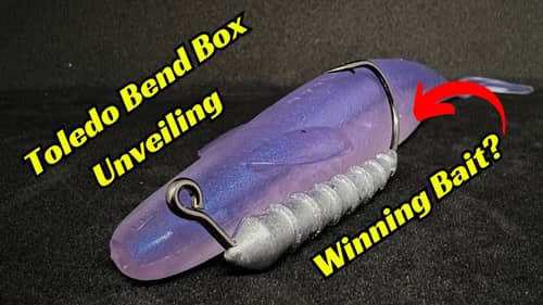 Toledo Bend Bait Unboxing! Will One Of These Be The Winning Lure?